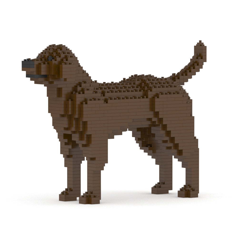 Labrador Retriever 01-M05