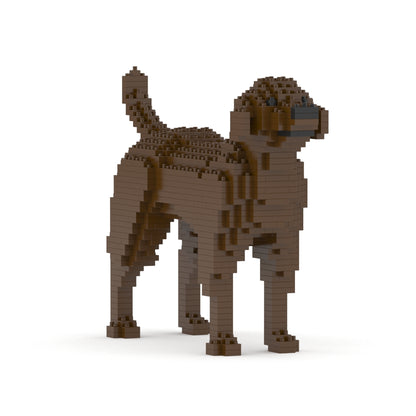Labrador Retriever 01-M05