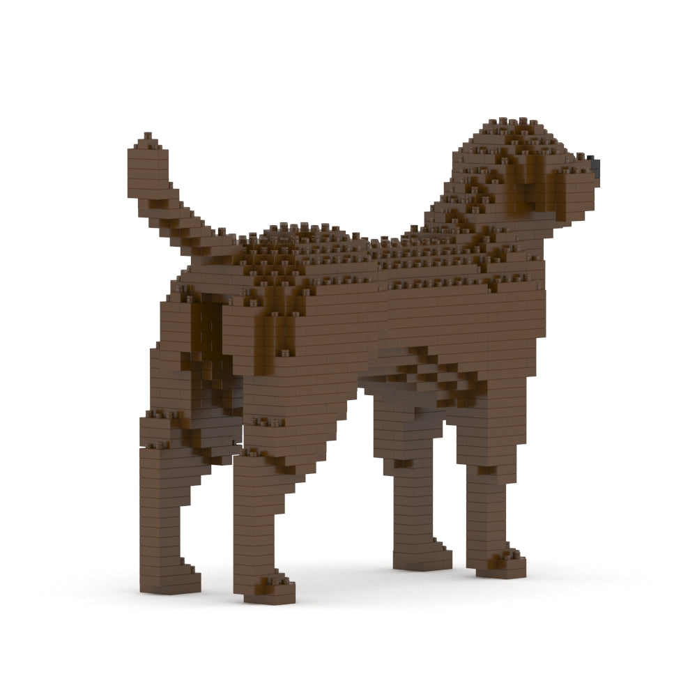 Labrador Retriever 01-M05