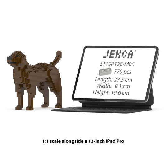 Labrador Retriever 01-M05