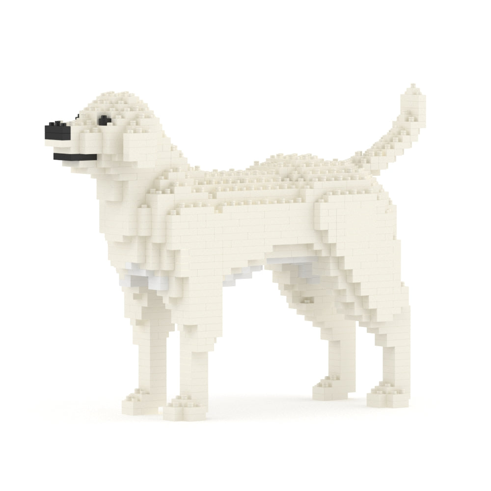 Labrador Retriever 01-M06