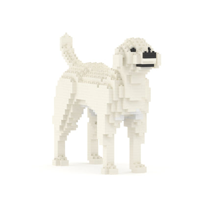 Labrador Retriever 01-M06