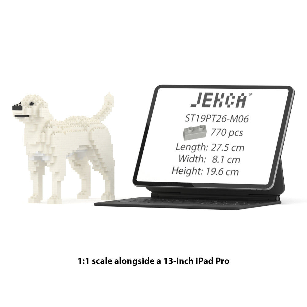 Labrador Retriever 01-M06