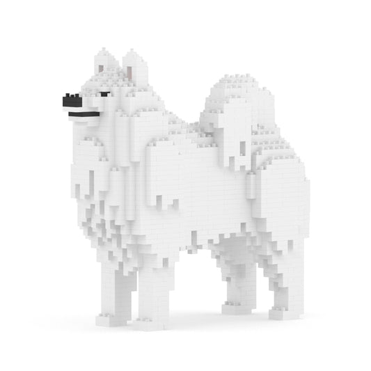 Samoyed 01