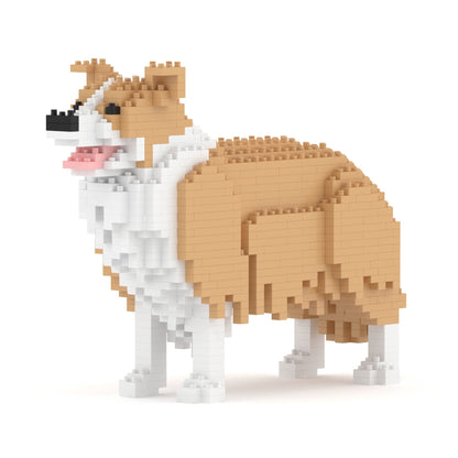 Border Collie 01-M03