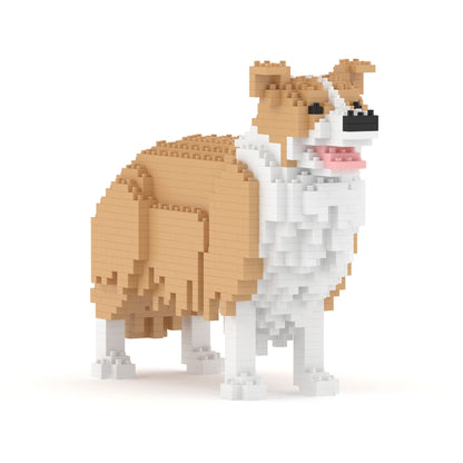 Border Collie 01-M03
