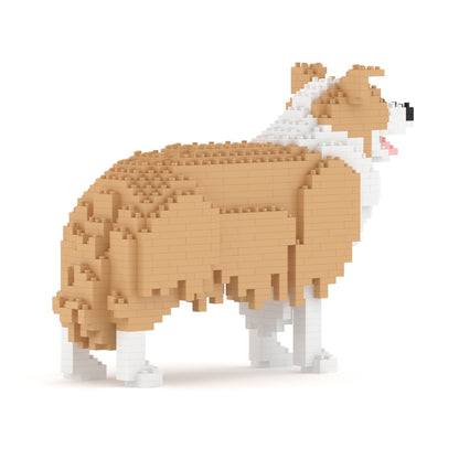 Border Collie 01-M03