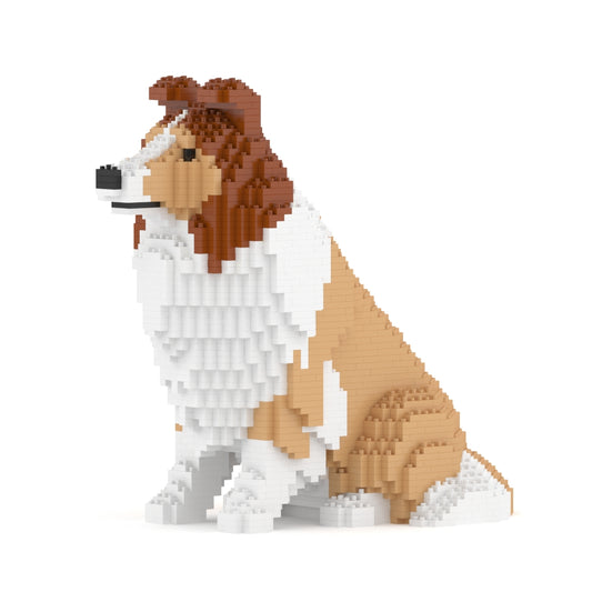 Shetlando aviganis 03-M01