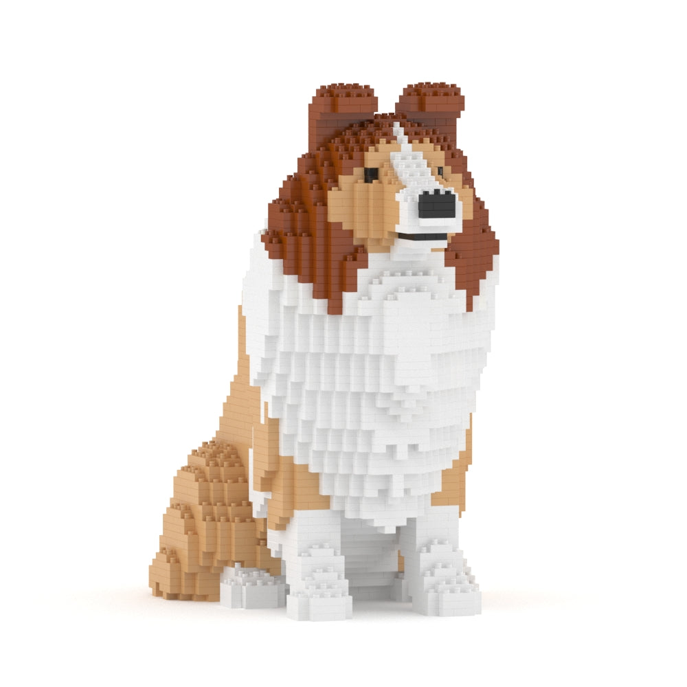 Chien de berger des Shetland 03-M01