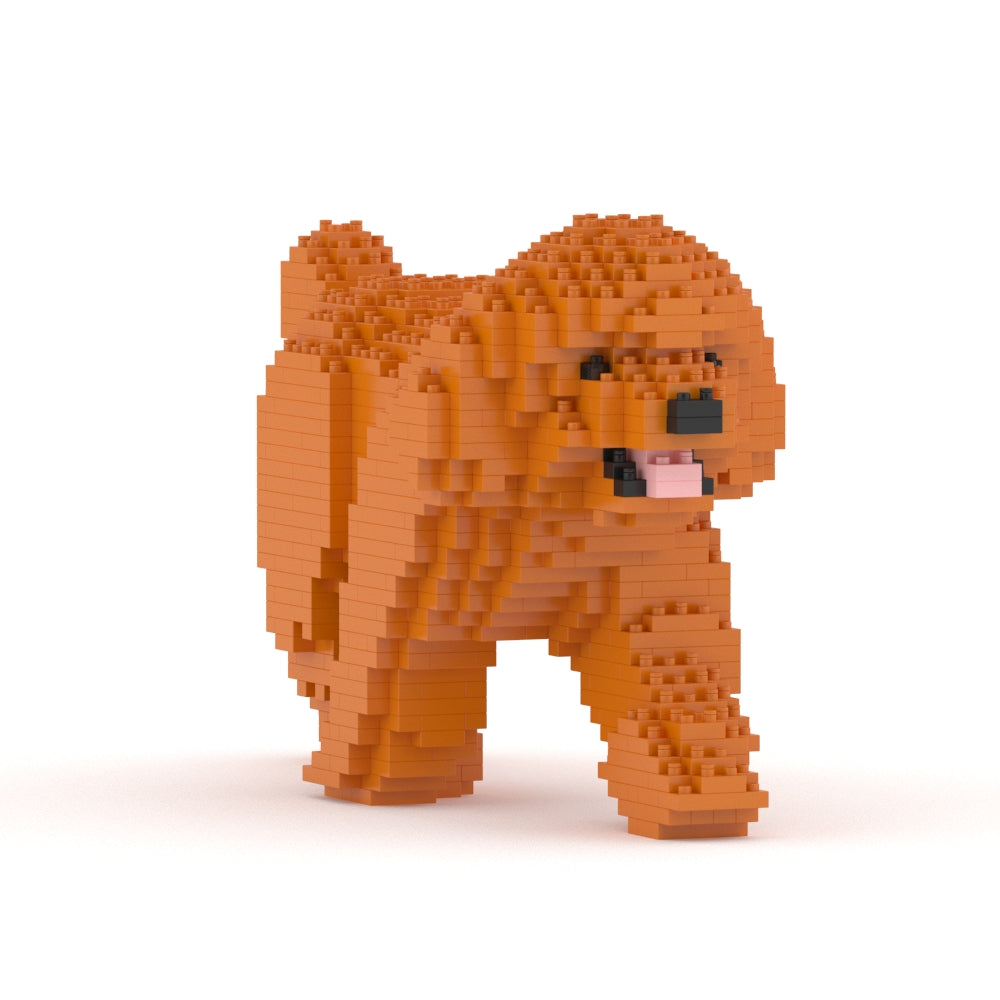 Toy Poodle 02-M04