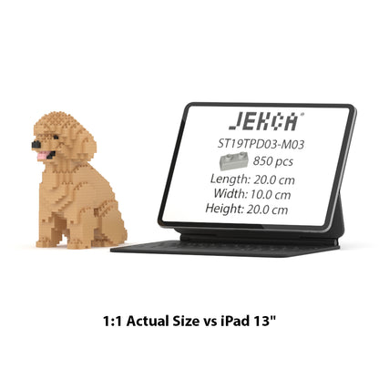 Toy Poodle 03-M03