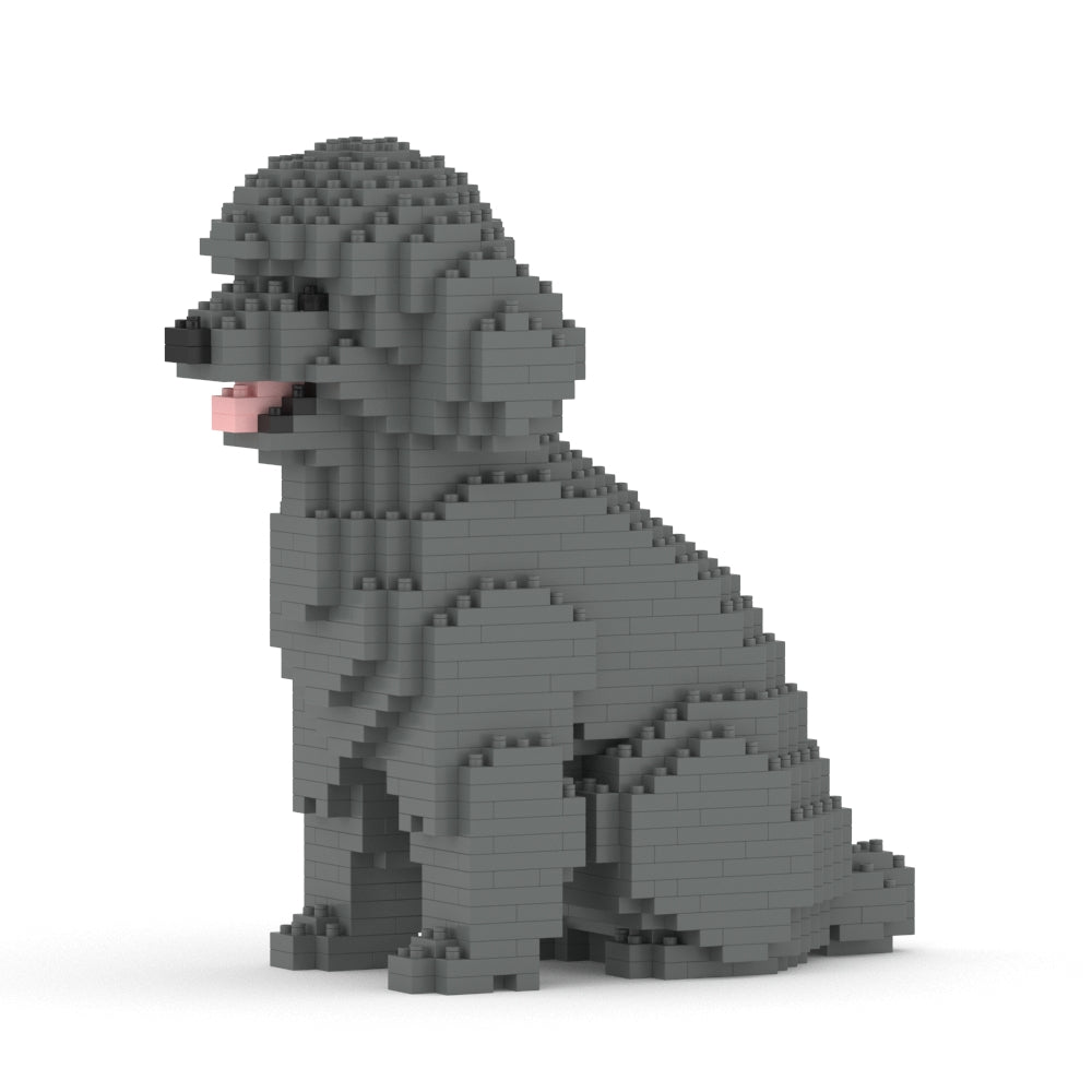 Toy Poodle 03-M06