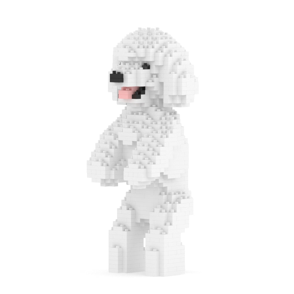 Toy Poodle 04-M01