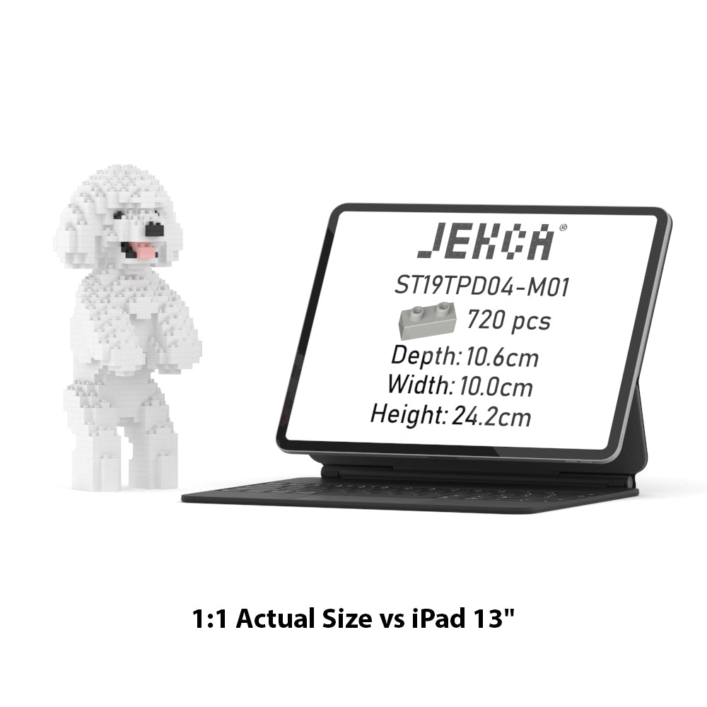 Toy Poodle 04-M01