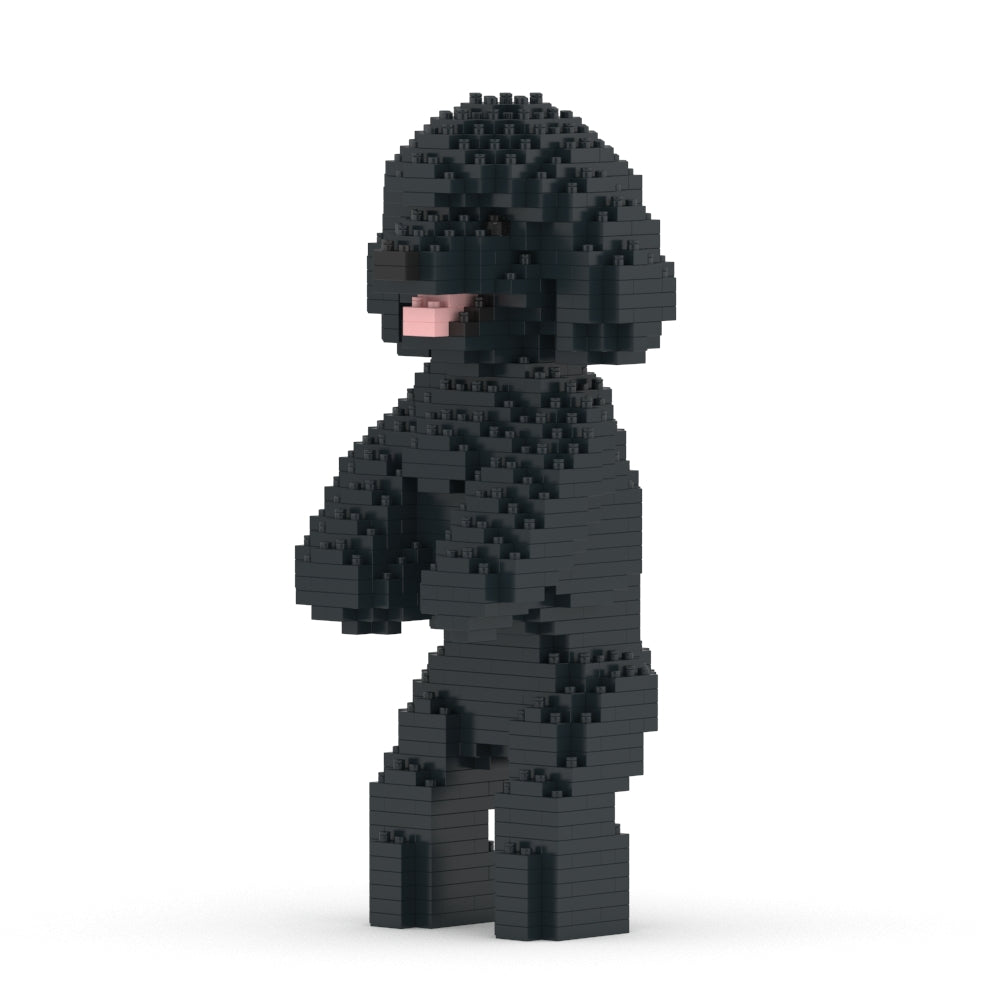 Toy Poodle 04-M02
