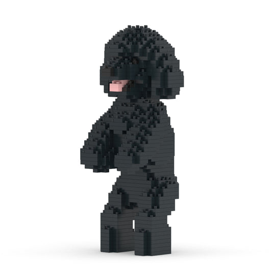 Toy Poodle 04-M02