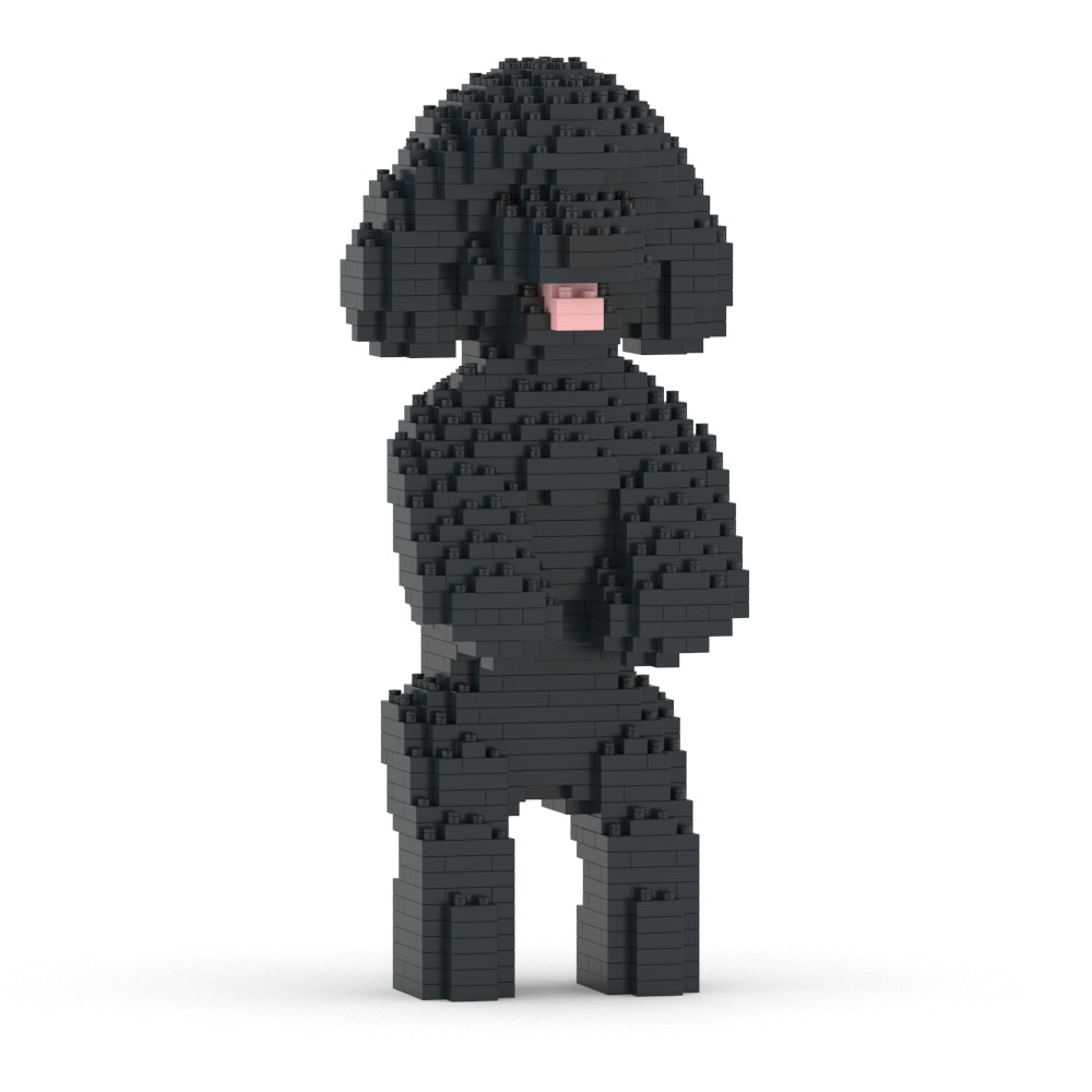 Toy Poodle 04-M02