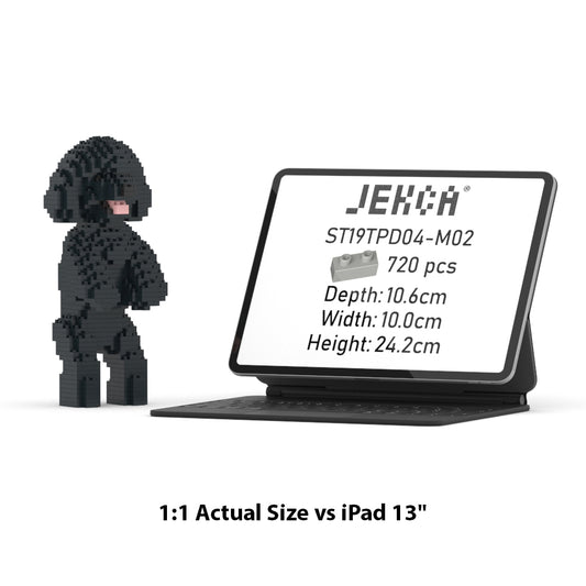 Toy Poodle 04-M02