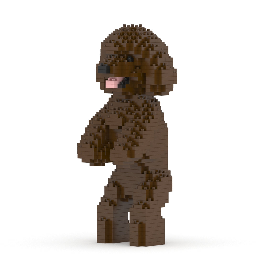 Toy Poodle 04-M05