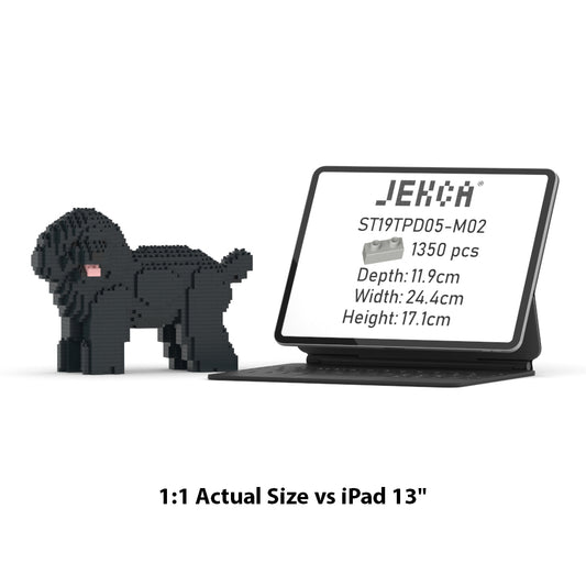 Toy Poodle 05-M02
