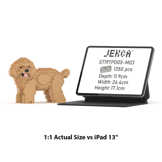 Toy Poodle 05-M03